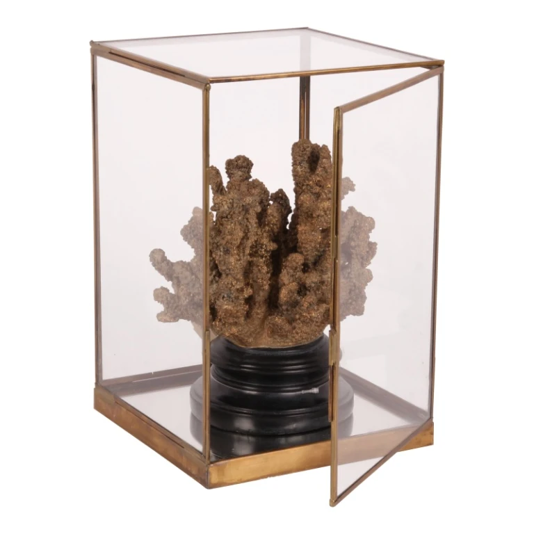 Caixa de Exposição - dourado - latão e vidro - 40 cm - 1 unidade